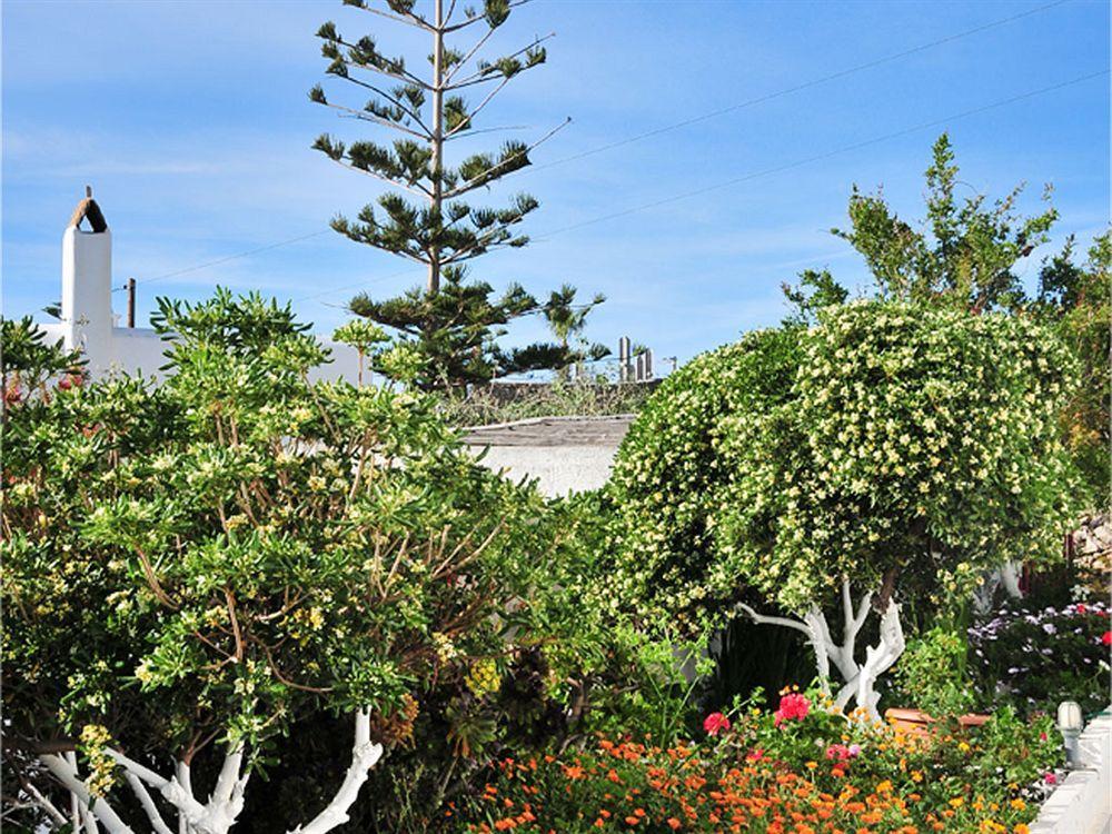 Dimitra Pension Mykonos Town Екстериор снимка